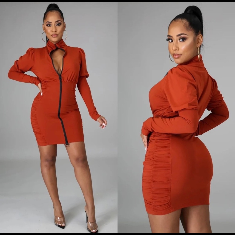 Cute Rust Dress NEW